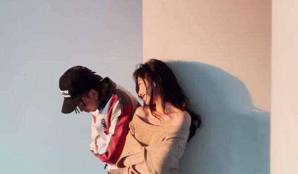 彼得比尔特379拼图